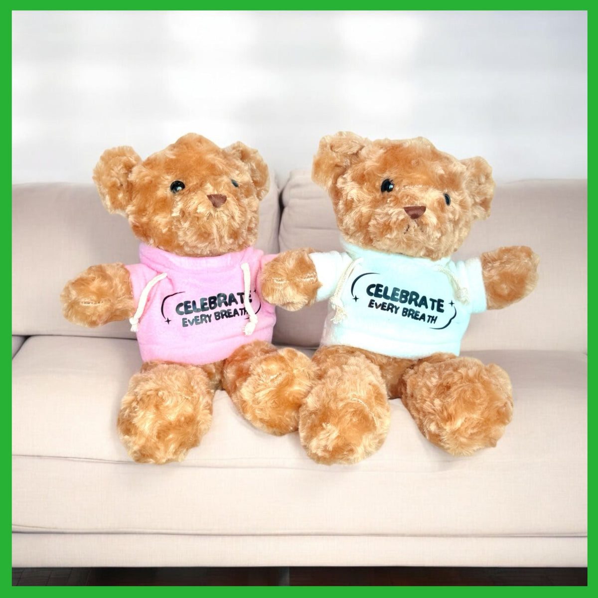 Champ the Bear