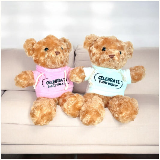 Champ the Bear